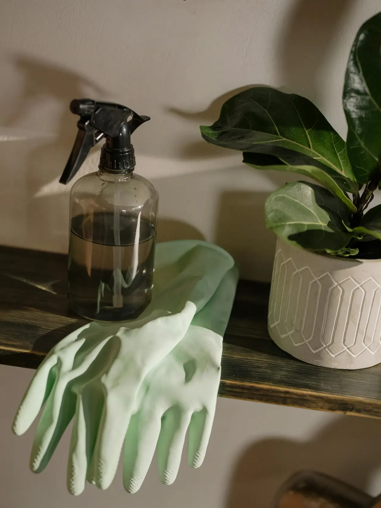 Professionell gereinigtes, modernes Wohninterieur